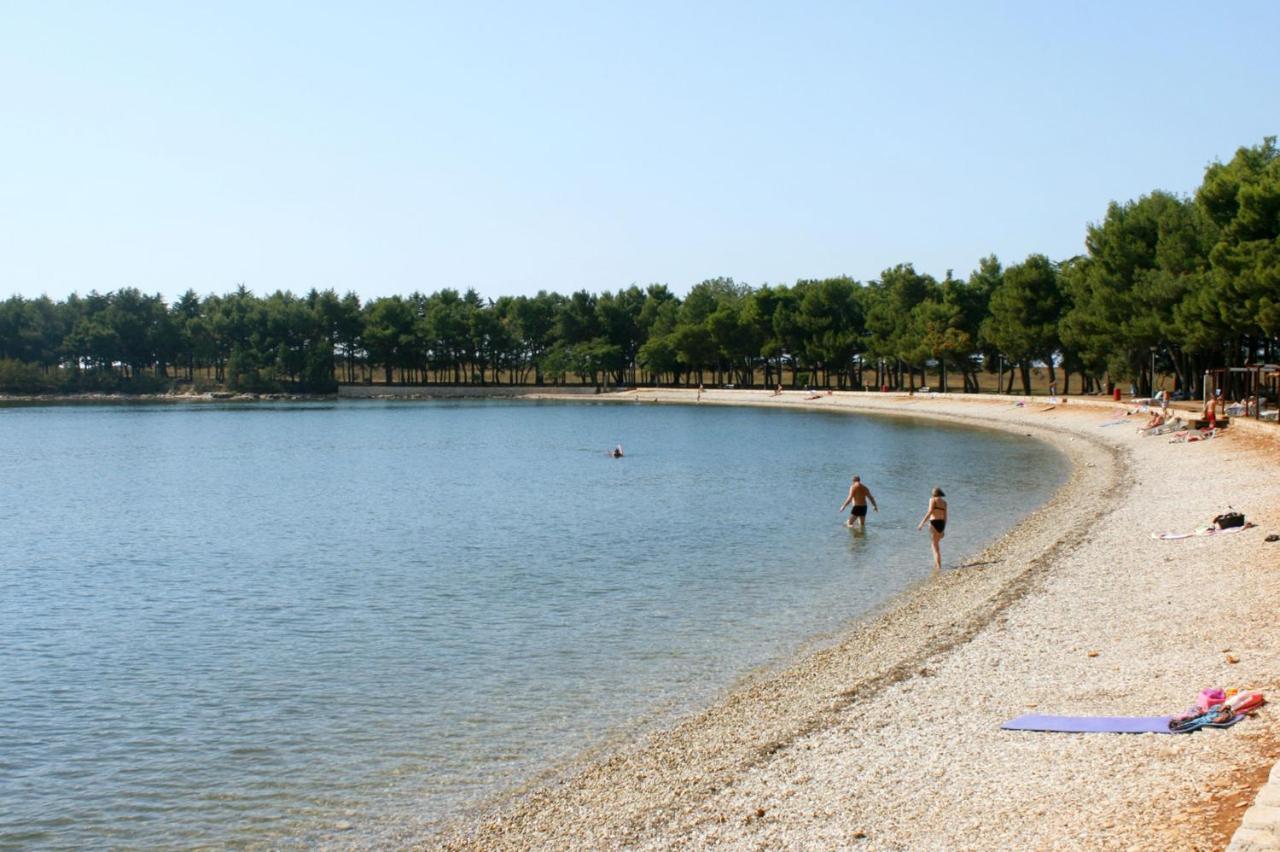 Apartments With A Swimming Pool Novigrad - 7078 Екстериор снимка