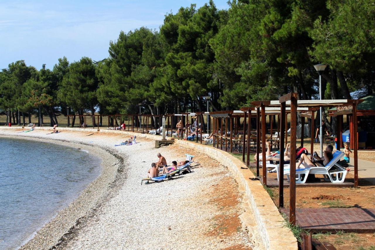 Apartments With A Swimming Pool Novigrad - 7078 Екстериор снимка